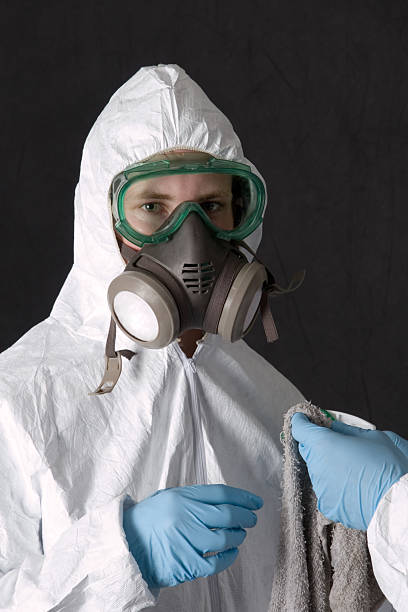 Best Mold Removal for HVAC Installations  in West Little River, FL